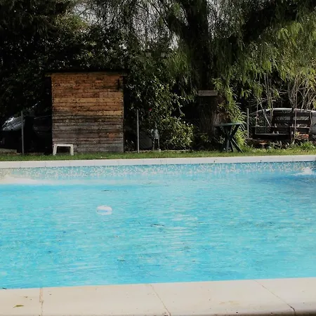 Lodge Chispa